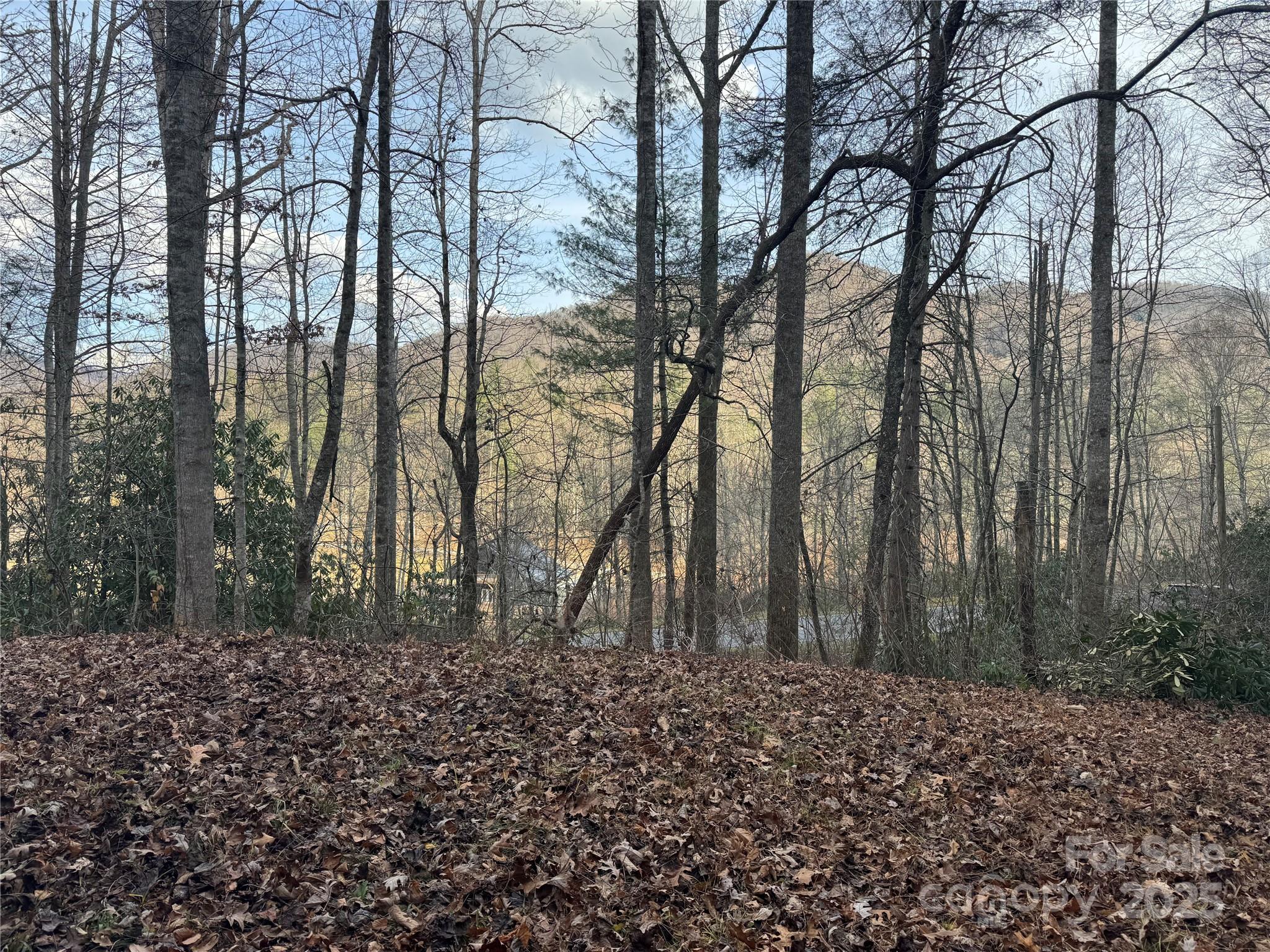 2664 Nc Hwy 9 Highway Black Mountain NC 28711