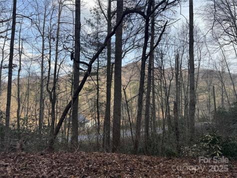 2664 Nc Highway 9 Highway Black Mountain NC 28711