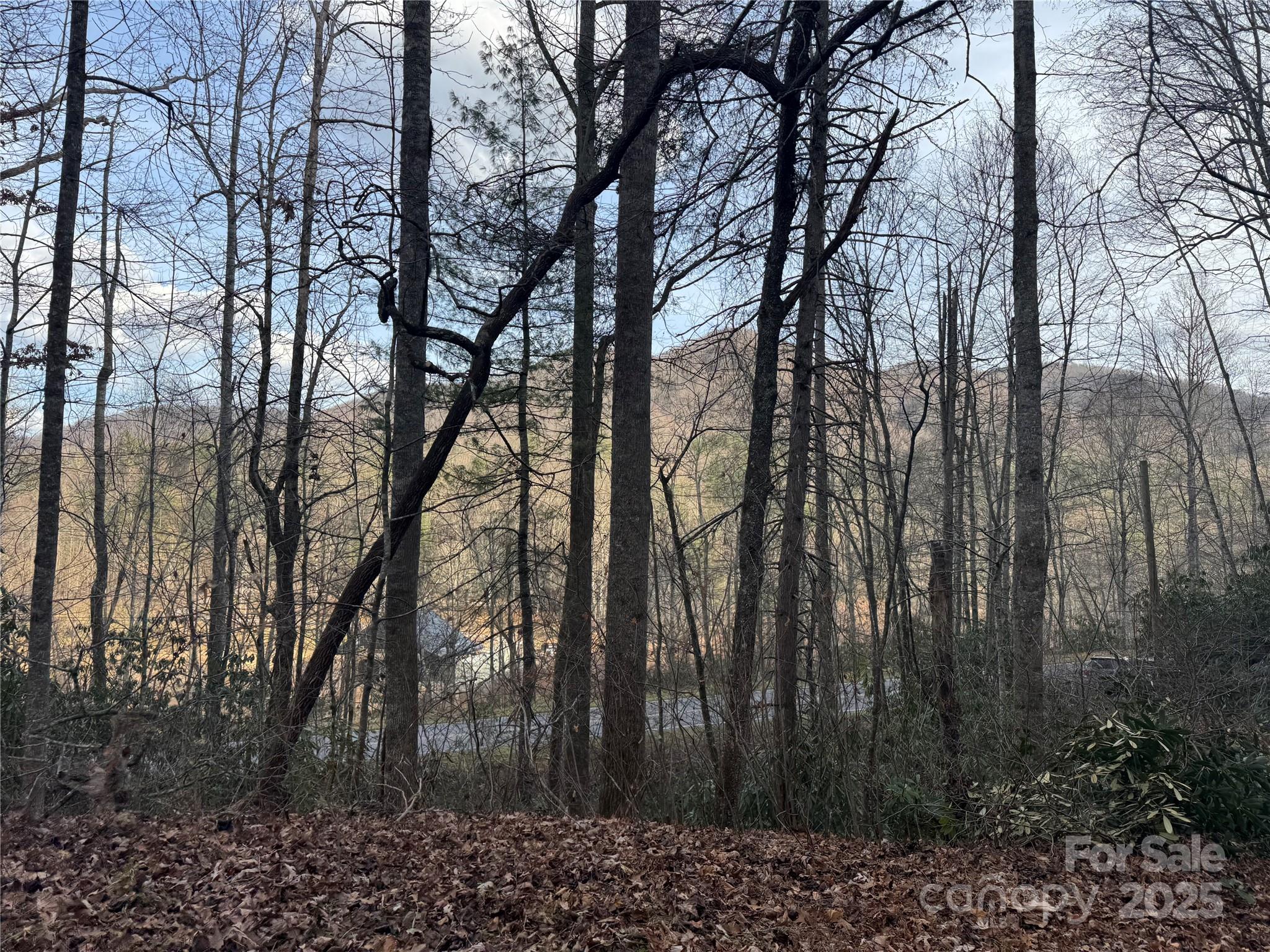 2664 Nc Hwy 9 Highway Black Mountain NC 28711