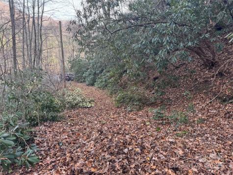 2664 Nc Highway 9 Highway Black Mountain NC 28711