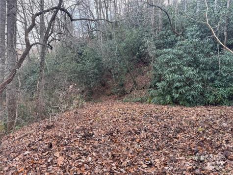 2664 Nc Highway 9 Highway Black Mountain NC 28711