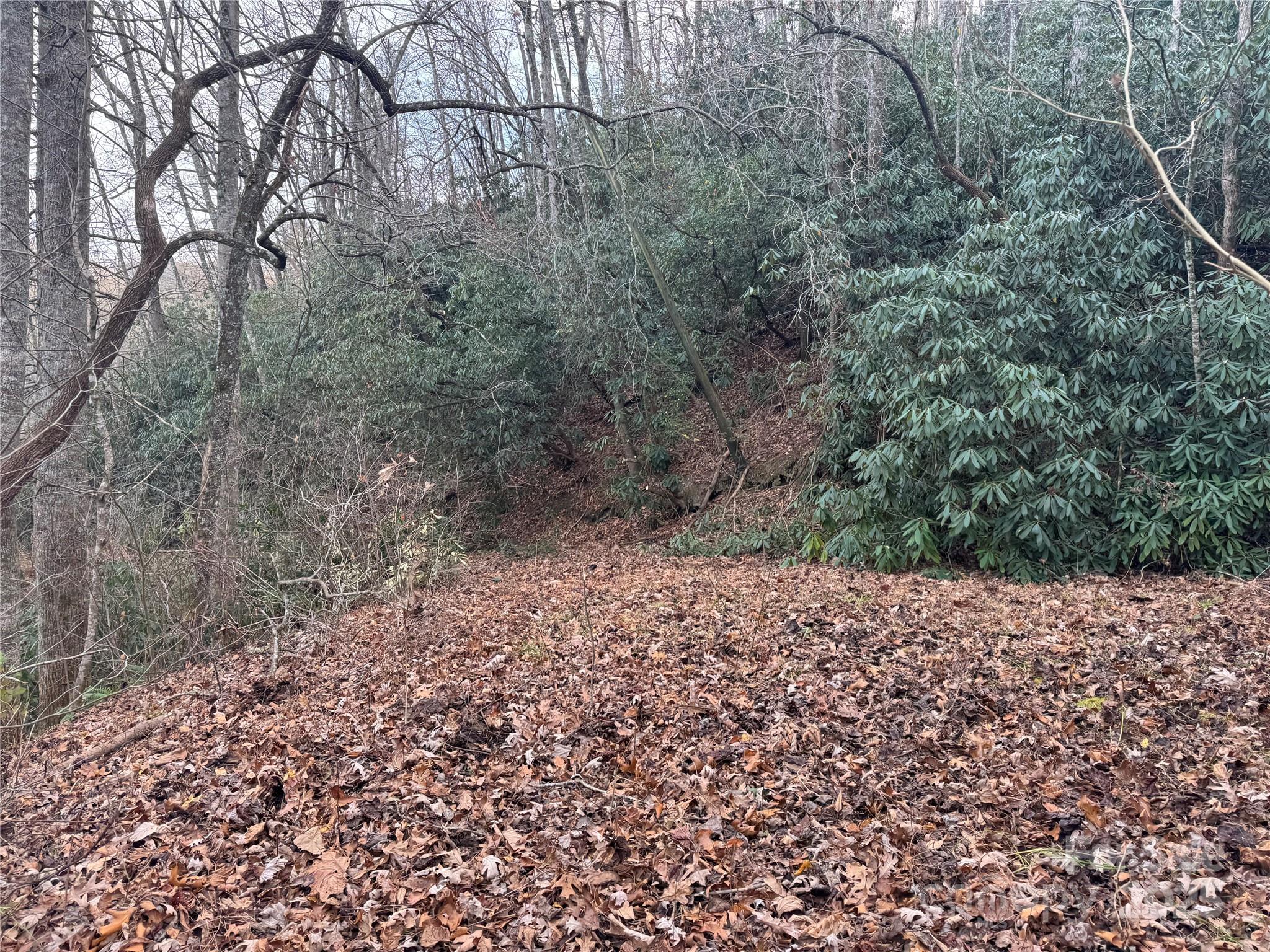 2664 Nc Highway 9 Highway Black Mountain NC 28711