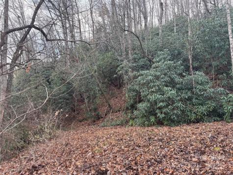 2664 Nc Highway 9 Highway Black Mountain NC 28711