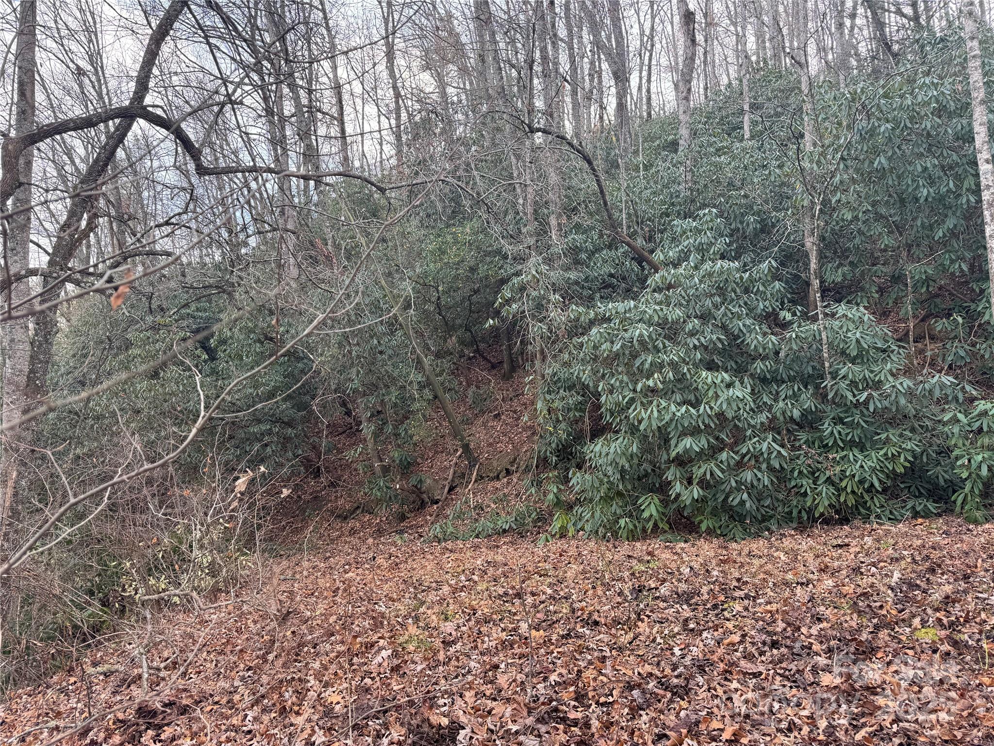 2664 Nc Hwy 9 Highway Black Mountain NC 28711