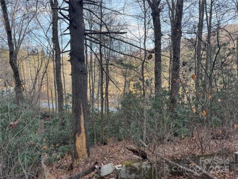 2664 Nc Highway 9 Highway Black Mountain NC 28711