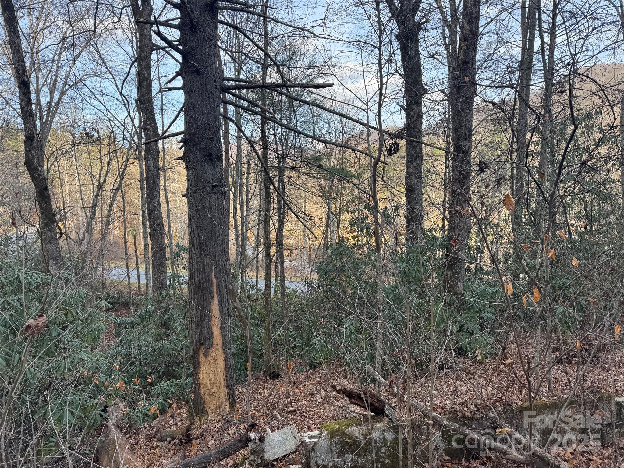 2664 Nc Highway 9 Highway Black Mountain NC 28711