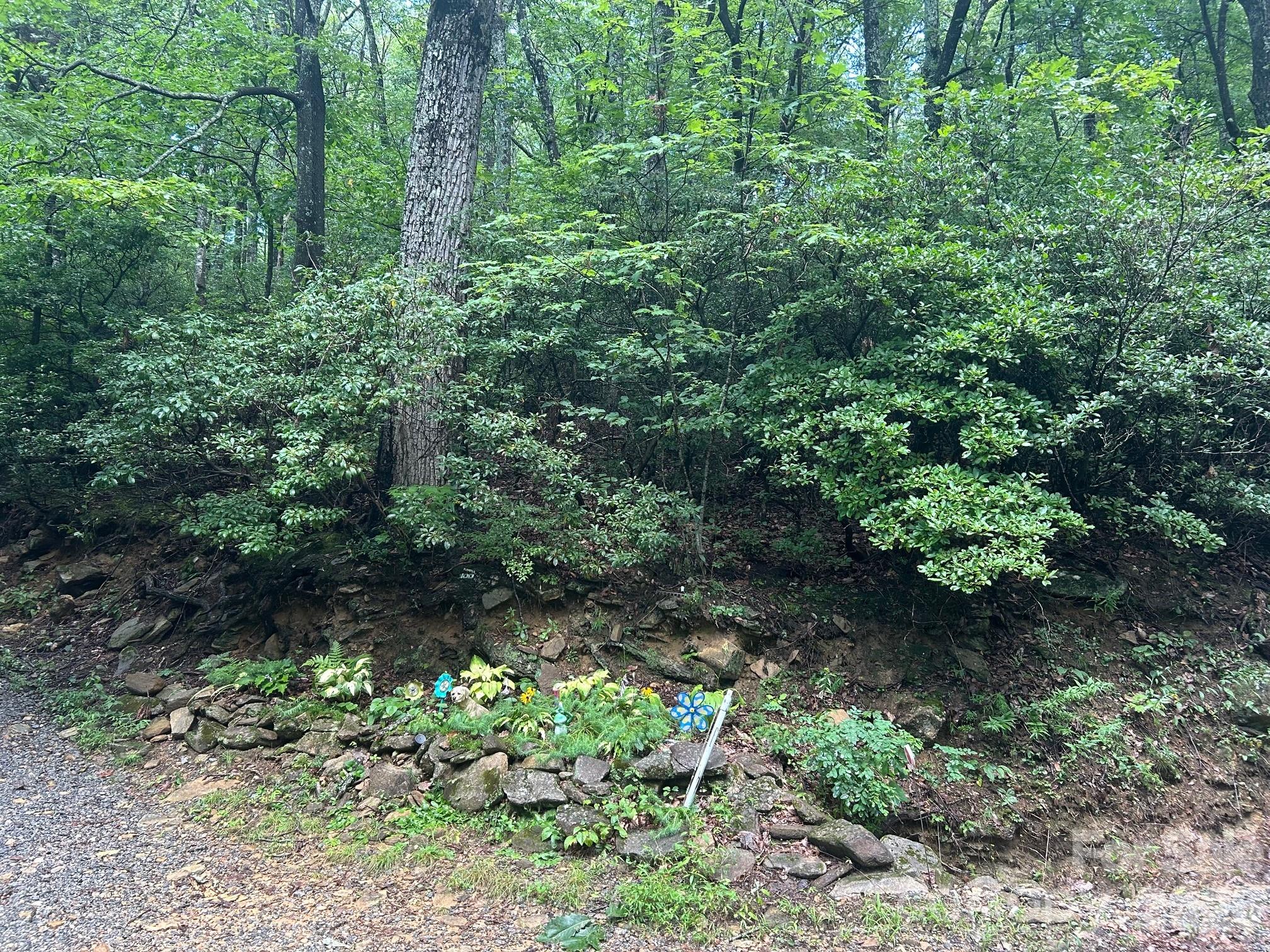 0 Pine Ridge Road Hendersonville NC 28792