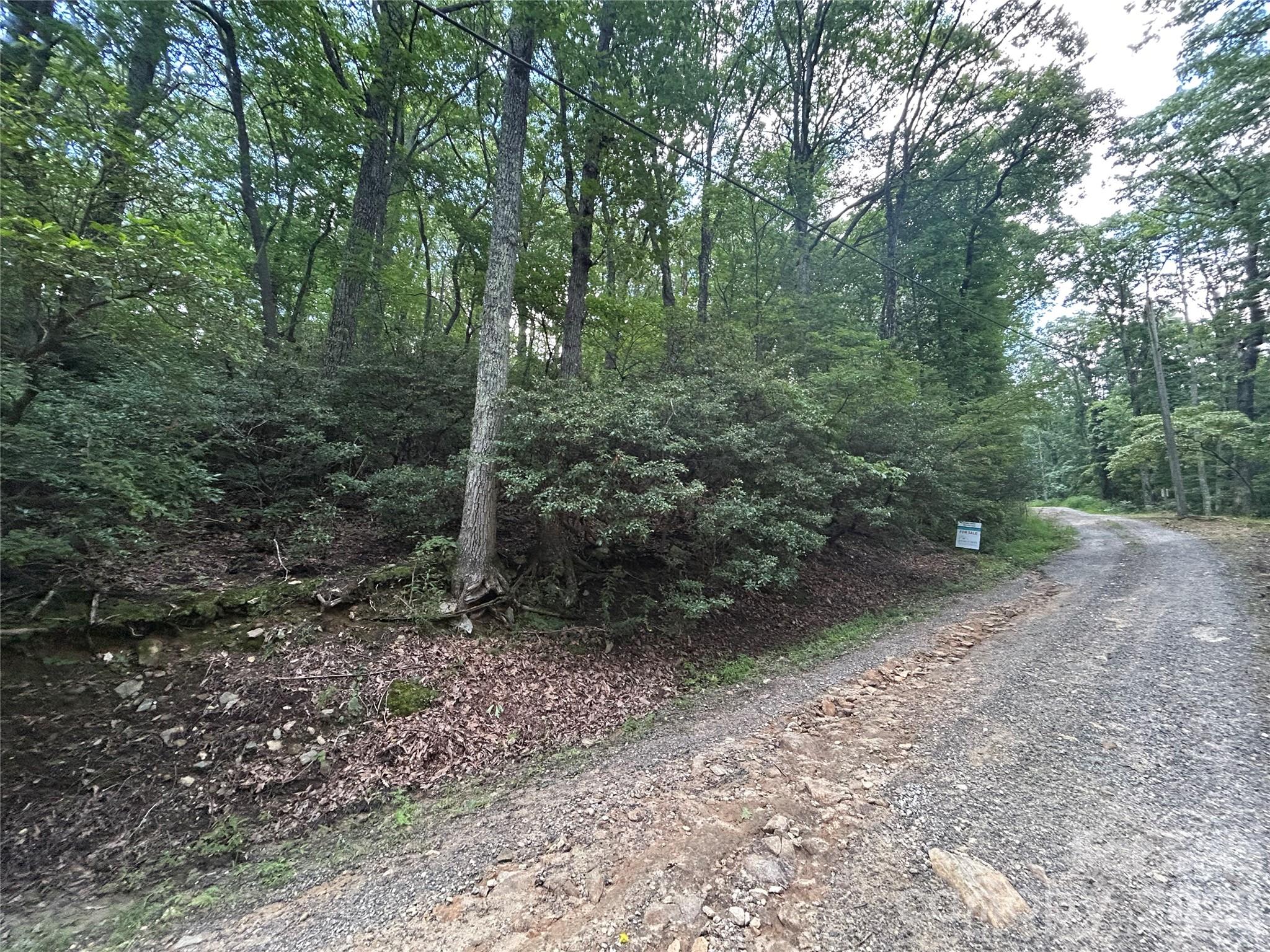 0 Pine Ridge Road Hendersonville NC 28792