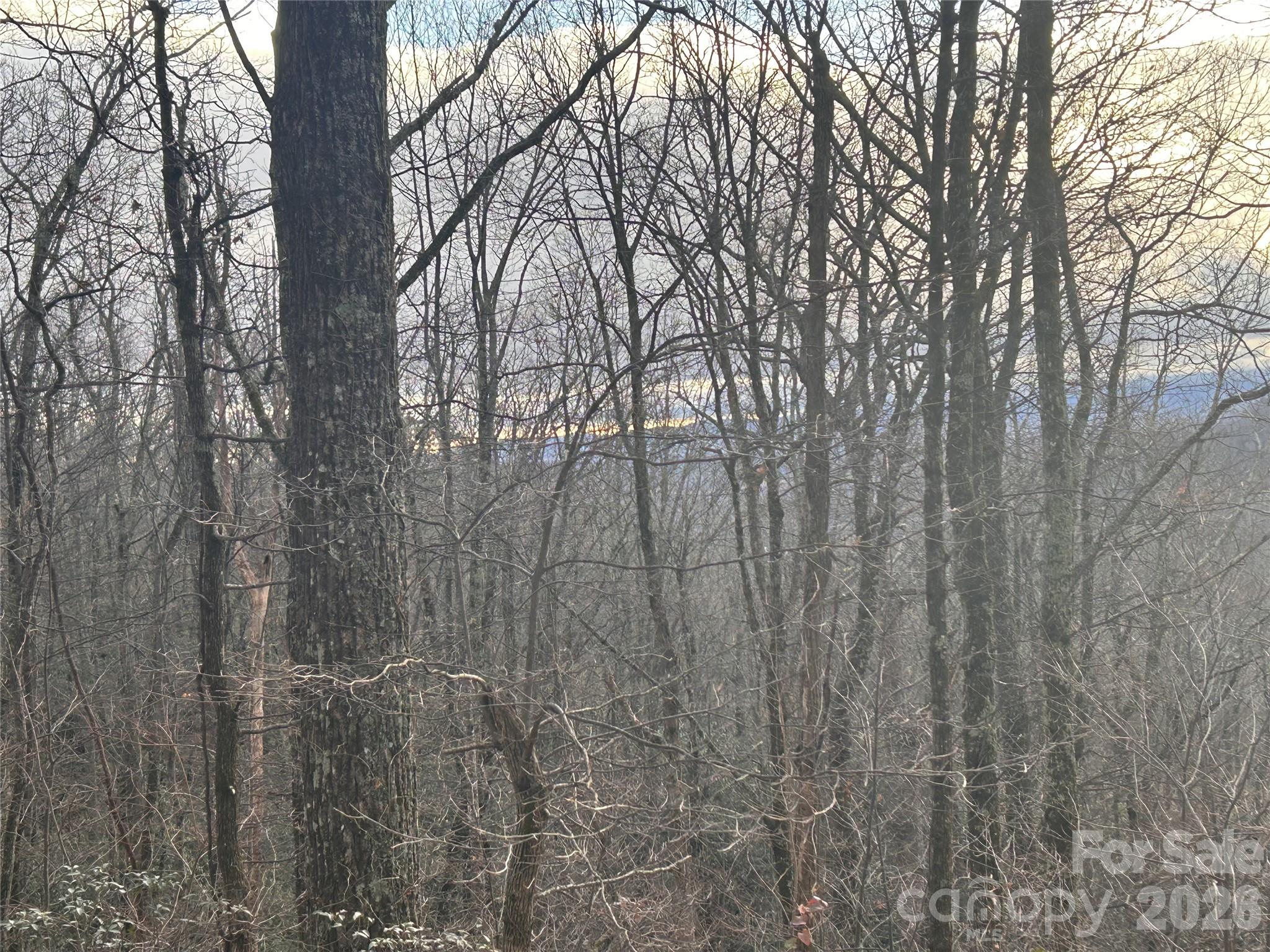 0 Pine Ridge Road Hendersonville NC 28792