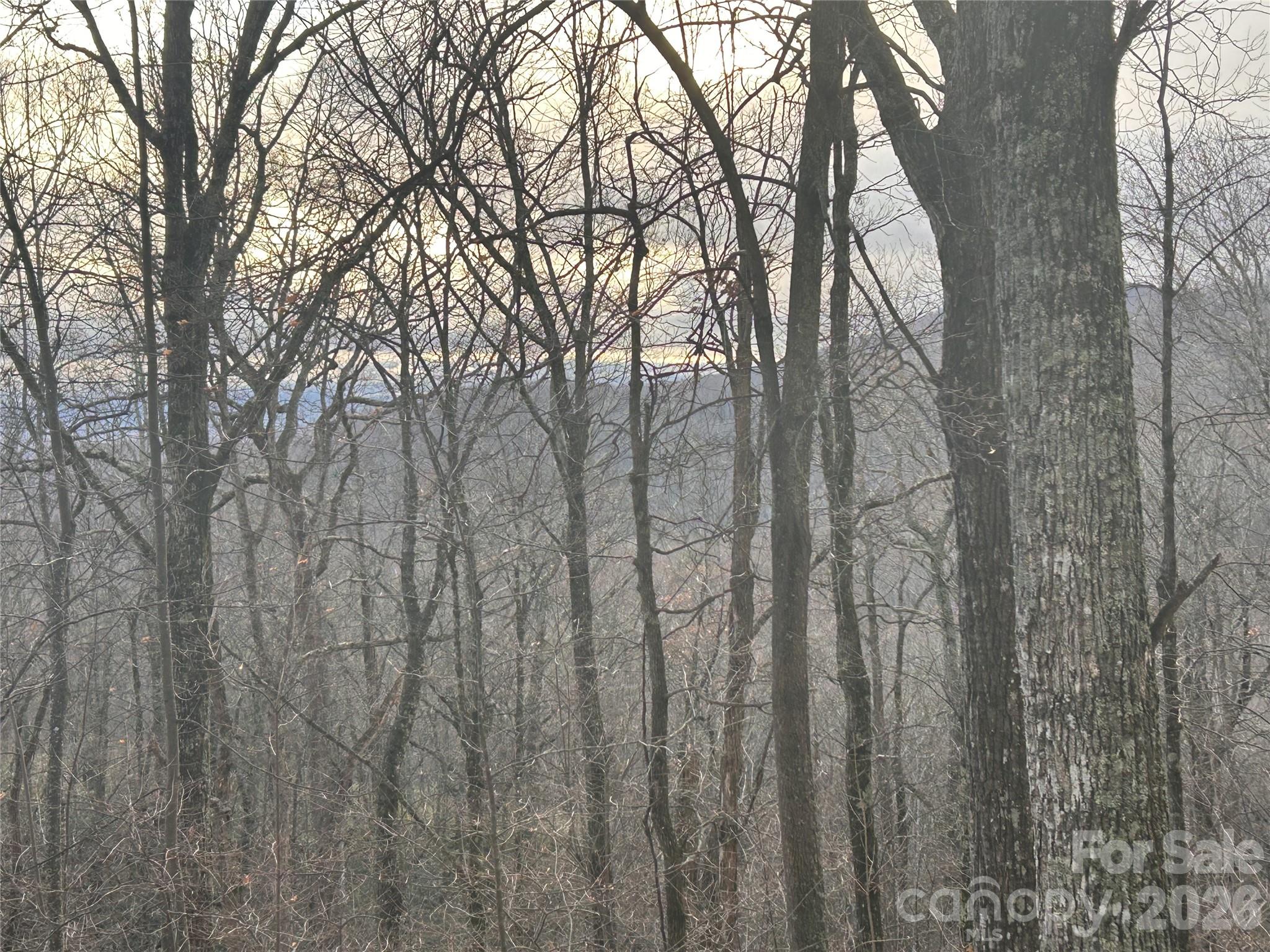 0 Pine Ridge Road Hendersonville NC 28792
