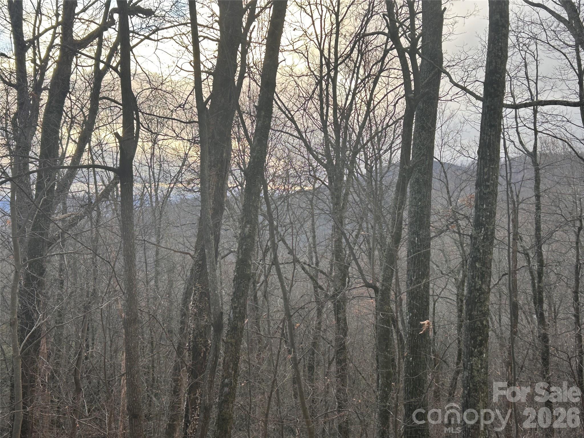 0 Pine Ridge Road Hendersonville NC 28792