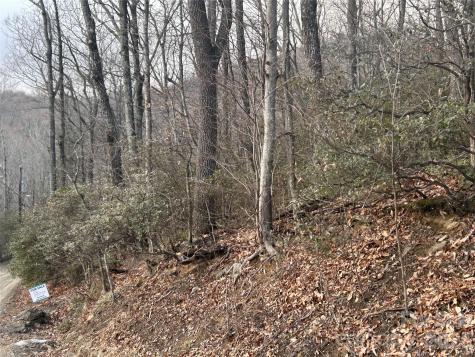 0 Pine Ridge Road Hendersonville NC 28792