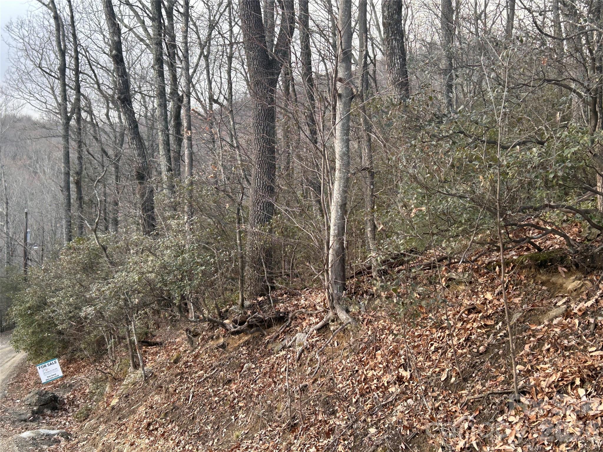 0 Pine Ridge Road Hendersonville NC 28792