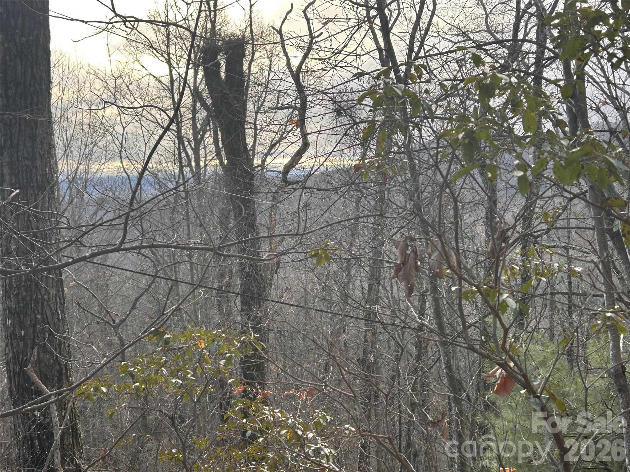 0 Pine Ridge Road Hendersonville NC 28792