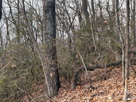 0 Pine Ridge Road Hendersonville NC 28792