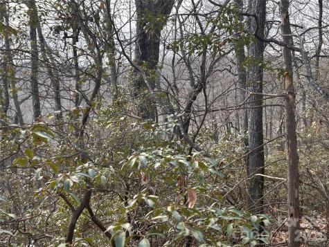 0 Pine Ridge Road Hendersonville NC 28792