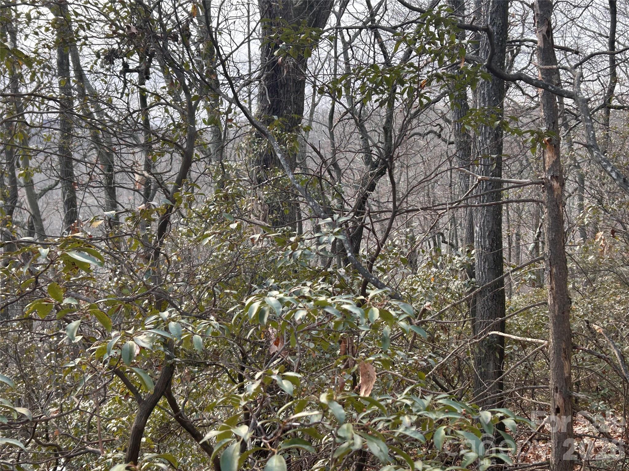 0 Pine Ridge Road Hendersonville NC 28792