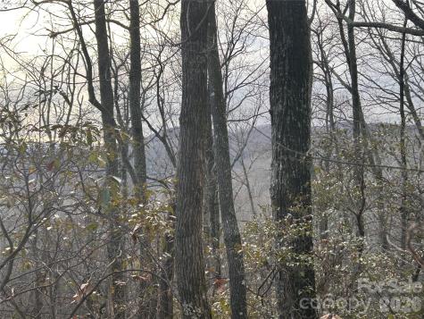0 Pine Ridge Road Hendersonville NC 28792