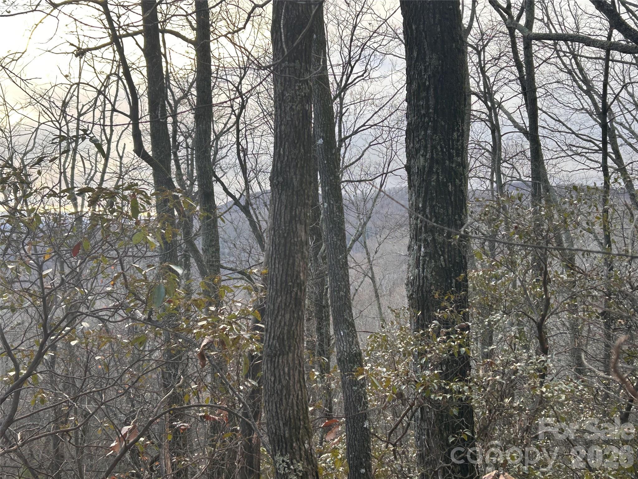 0 Pine Ridge Road Hendersonville NC 28792