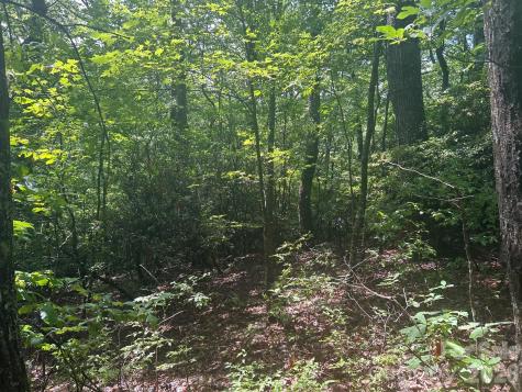 0 Pine Ridge Road Hendersonville NC 28792