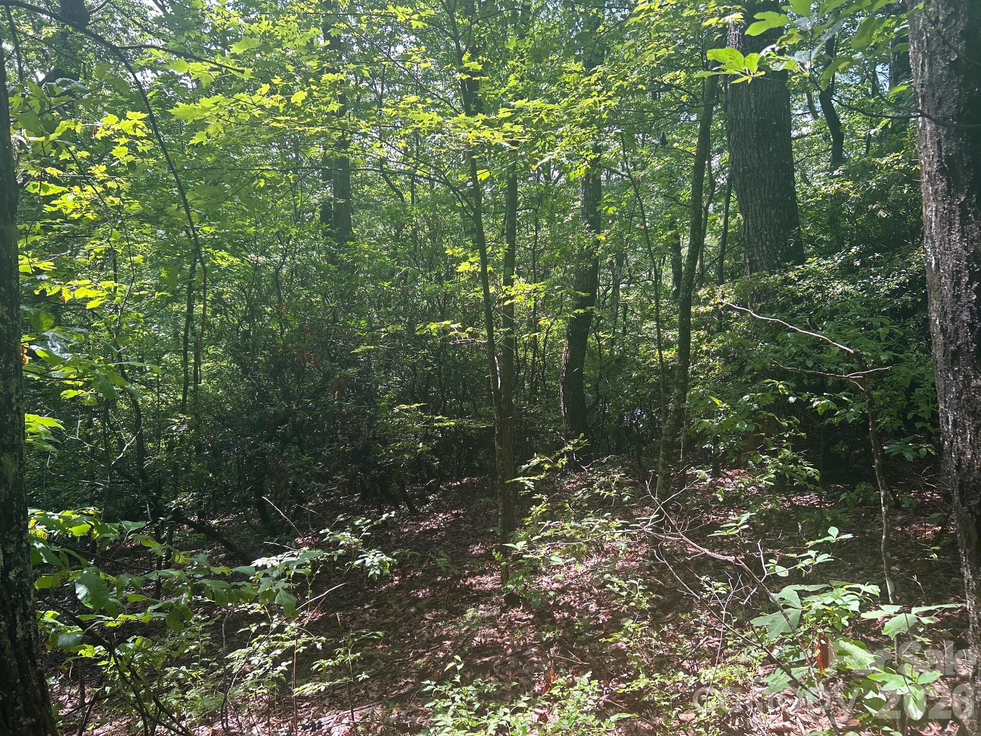 0 Pine Ridge Road Hendersonville NC 28792