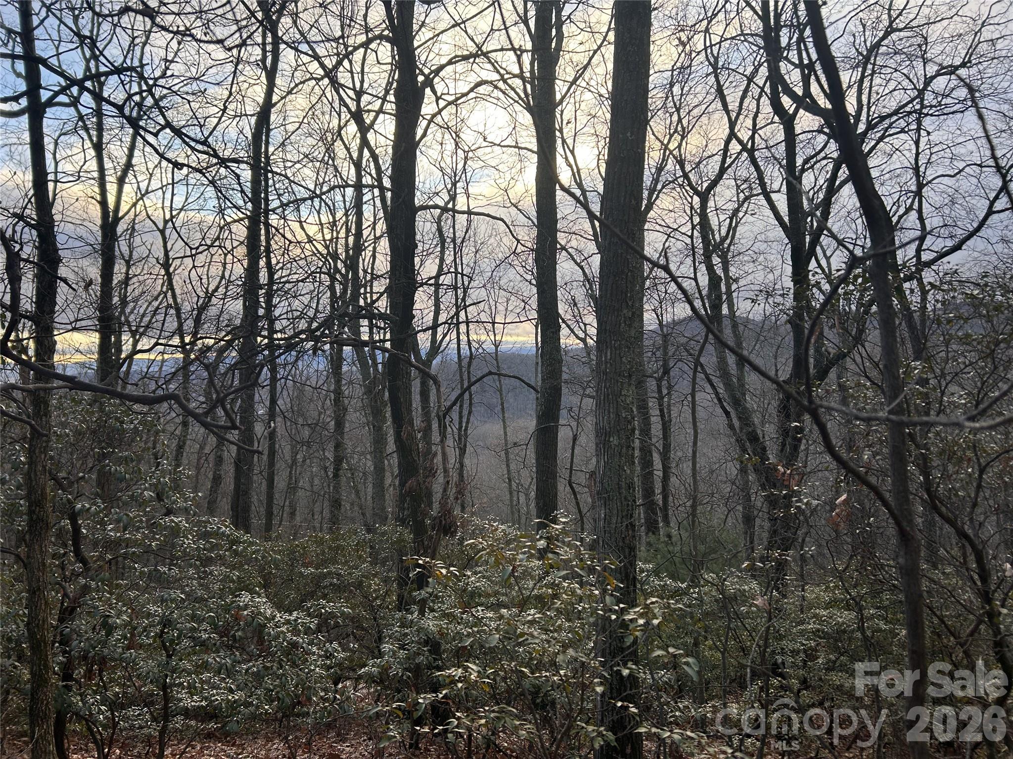 0 Pine Ridge Road Hendersonville NC 28792