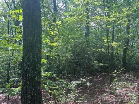 0 Pine Ridge Road Hendersonville NC 28792