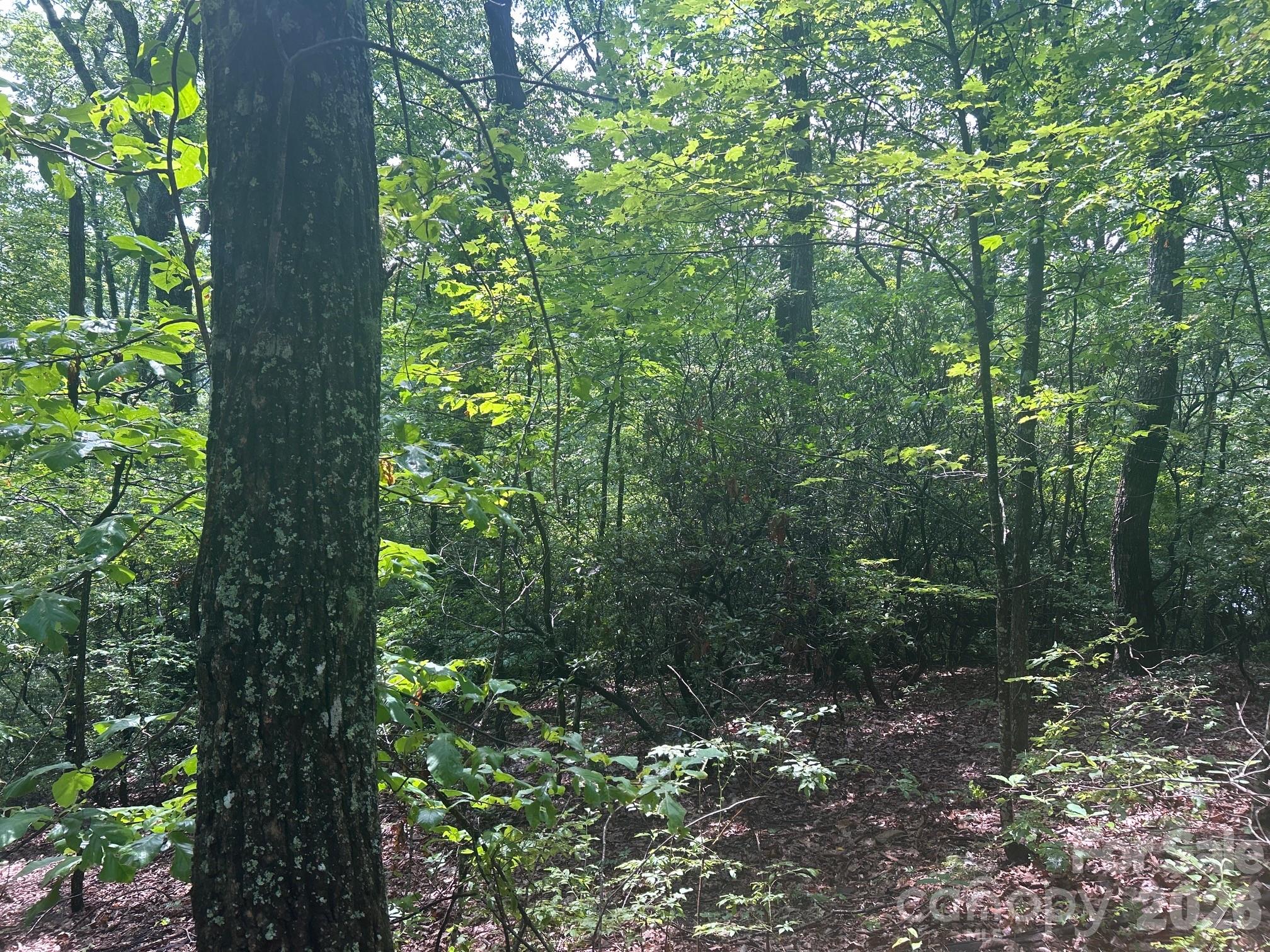 0 Pine Ridge Road Hendersonville NC 28792