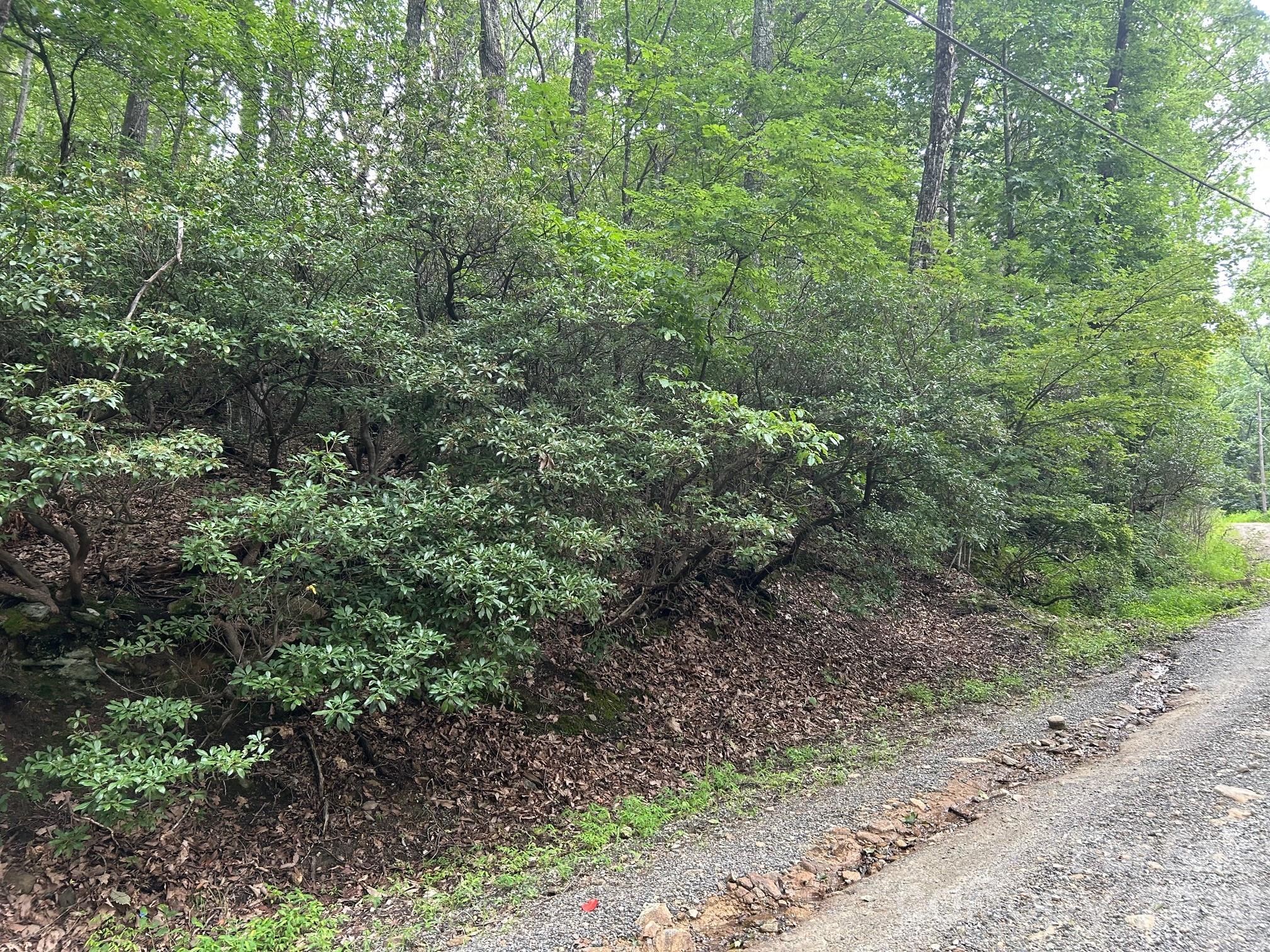 0 Pine Ridge Road Hendersonville NC 28792