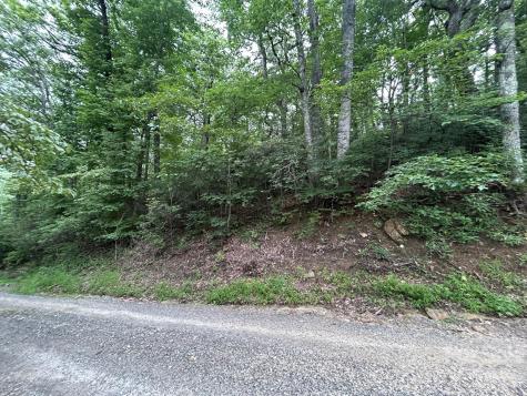 0 Pine Ridge Road Hendersonville NC 28792