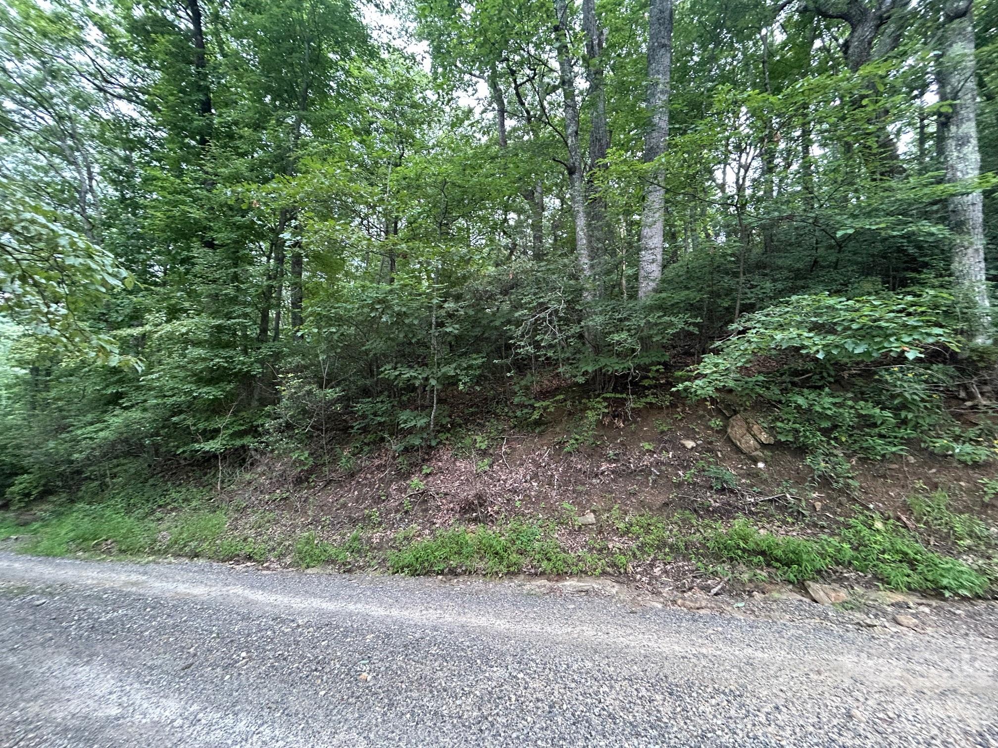 0 Pine Ridge Road Hendersonville NC 28792
