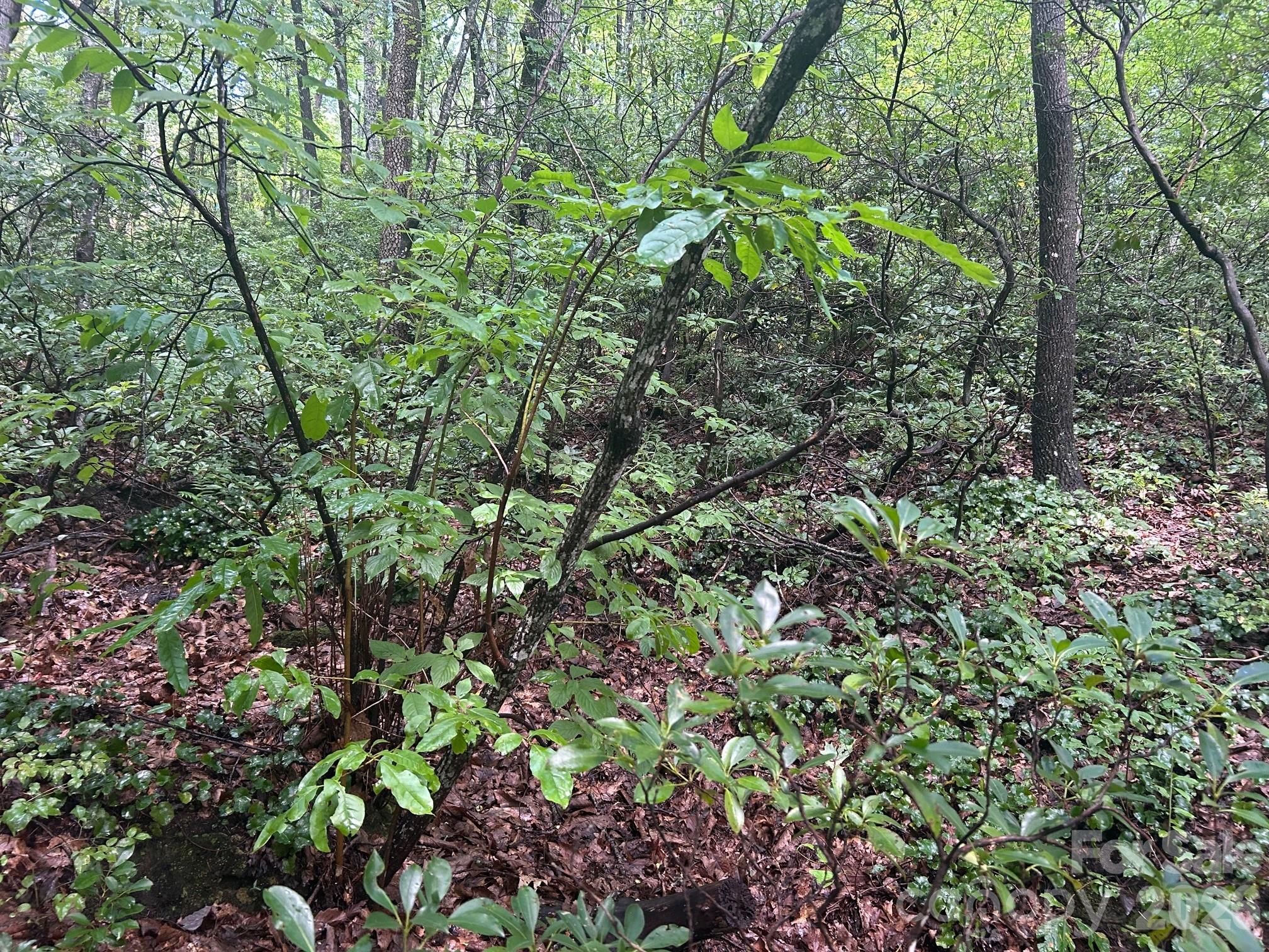 0 Pine Ridge Road Hendersonville NC 28792