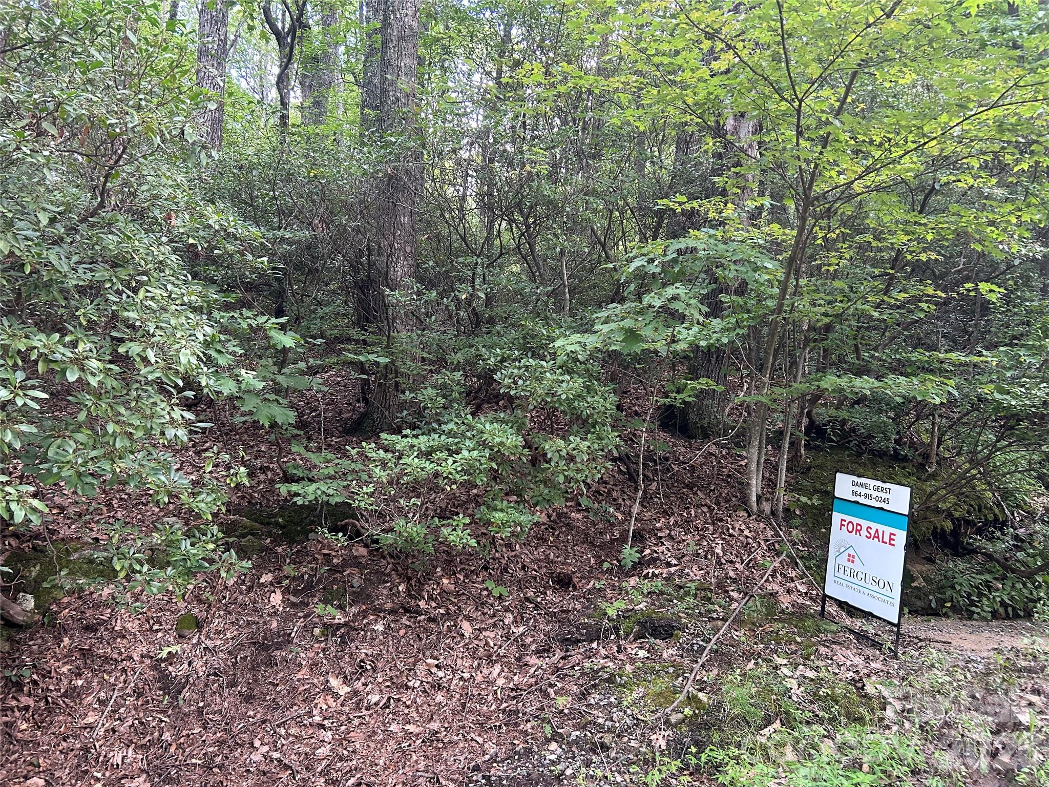 0 Pine Ridge Road Hendersonville NC 28792