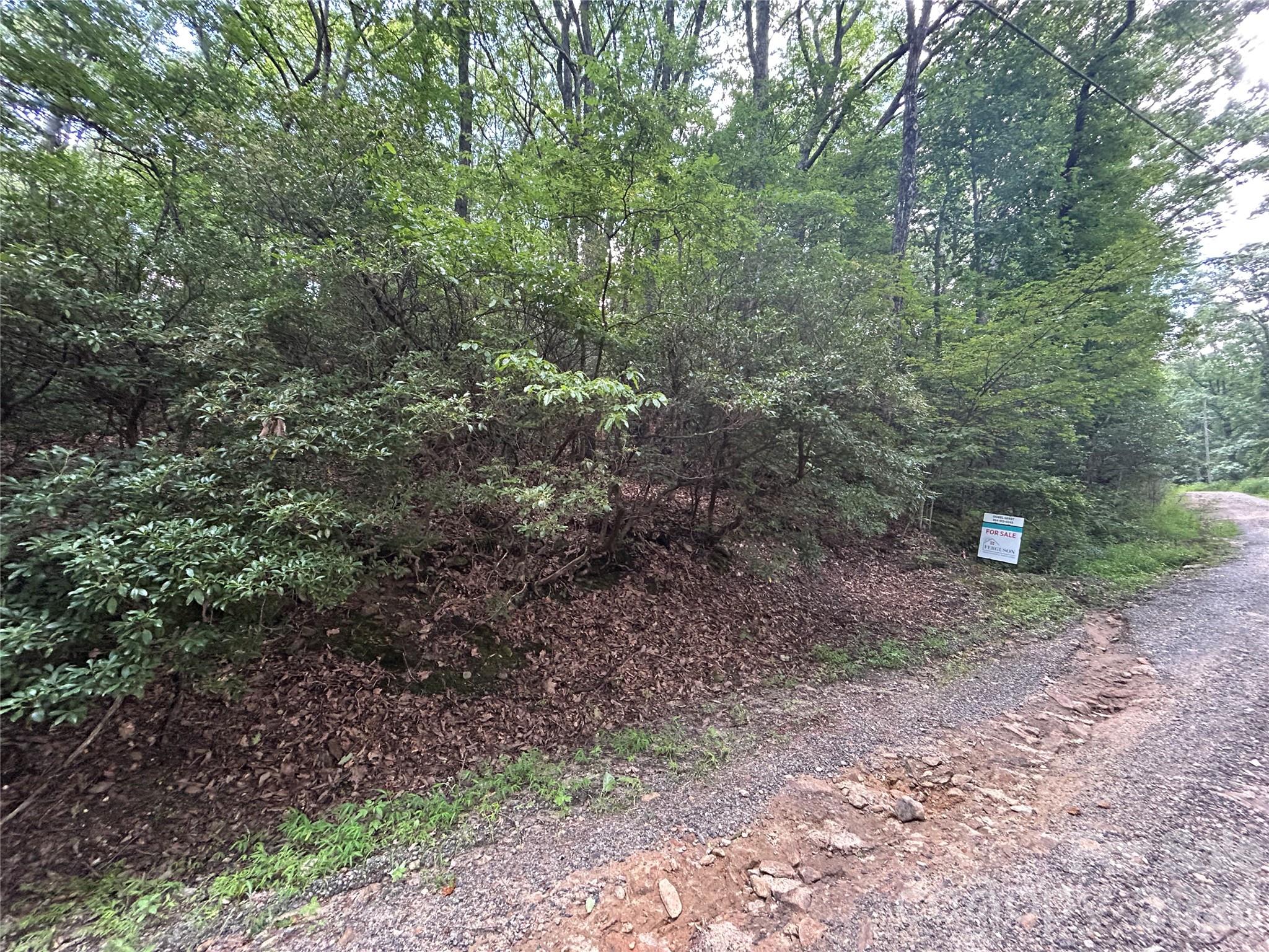 0 Pine Ridge Road Hendersonville NC 28792