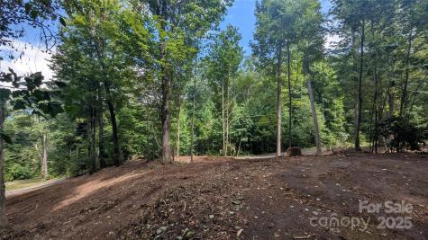 88 Apple Tree Court Waynesville NC 28786