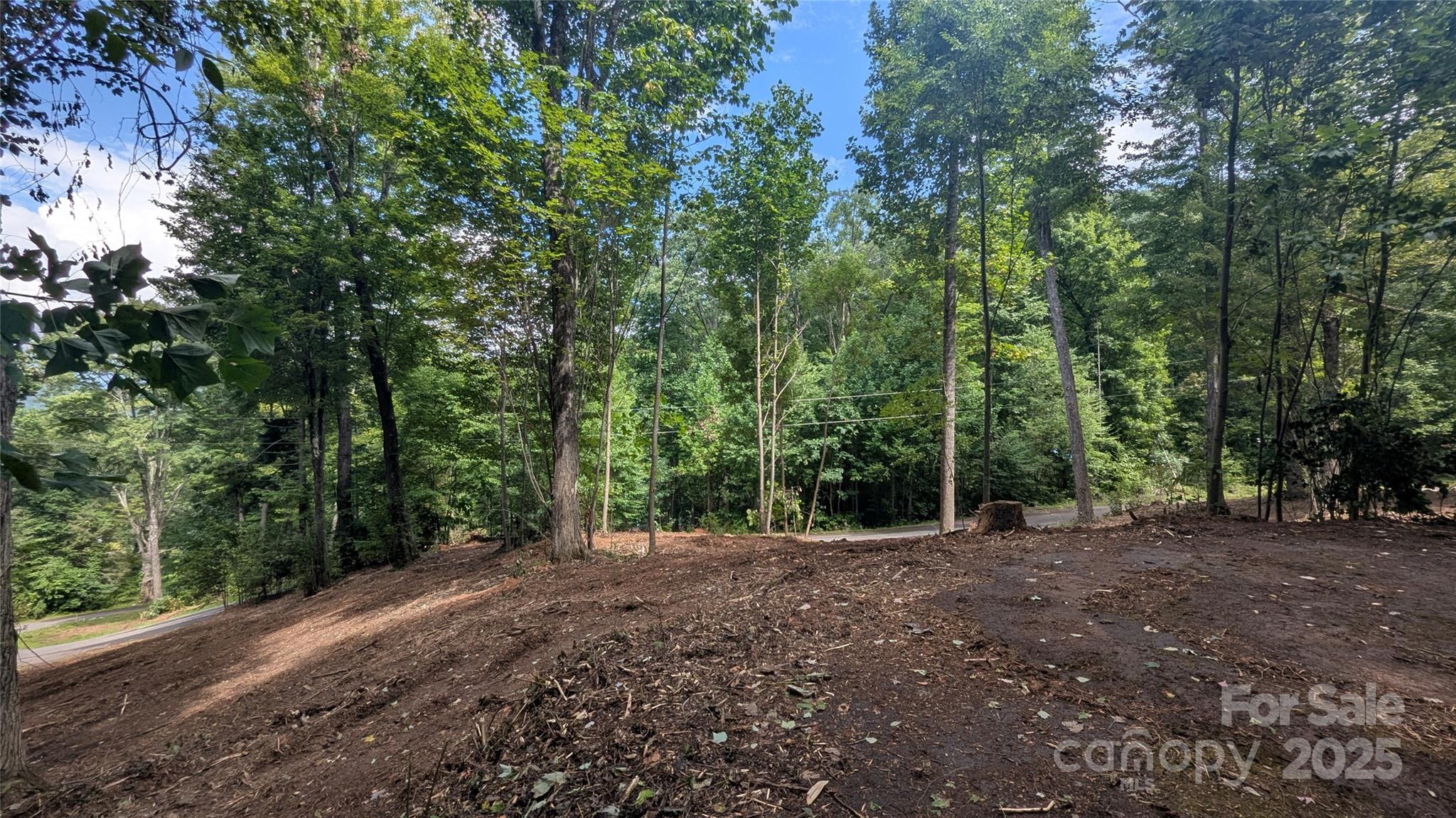 88 Apple Tree Court Waynesville NC 28786