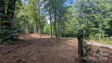 88 Apple Tree Court Waynesville NC 28786