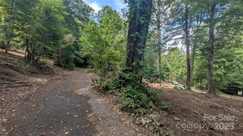 88 Apple Tree Court Waynesville NC 28786