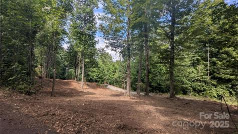 88 Apple Tree Court Waynesville NC 28786