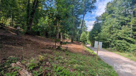 88 Apple Tree Court Waynesville NC 28786