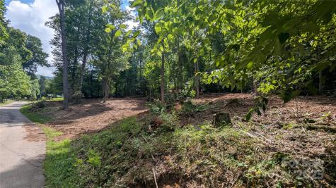 88 Apple Tree Court Waynesville NC 28786