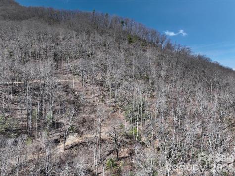 99999 Green Ridge Falls Road Barnardsville NC 28709