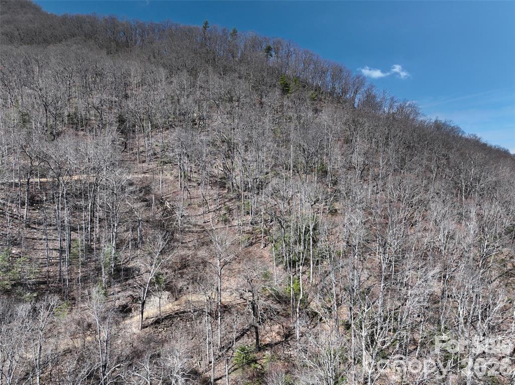 99999 Green Ridge Falls Road Barnardsville NC 28709