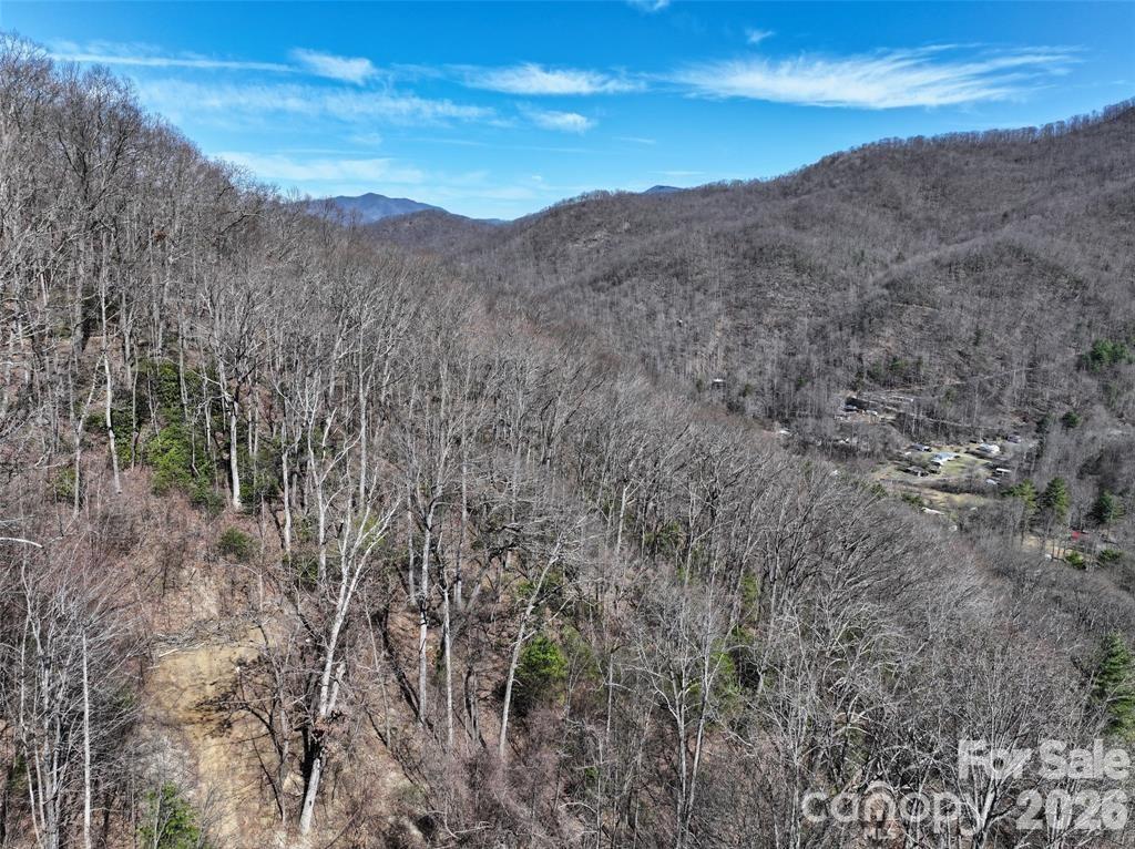 99999 Green Ridge Falls Road Barnardsville NC 28709