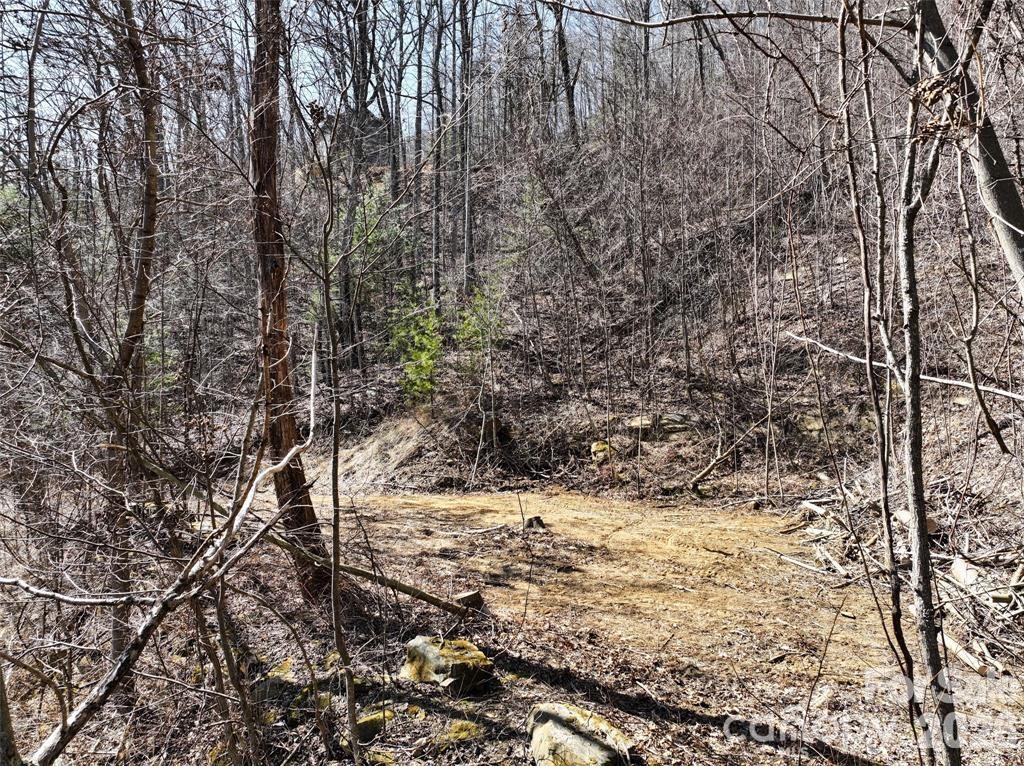 99999 Green Ridge Falls Road Barnardsville NC 28709