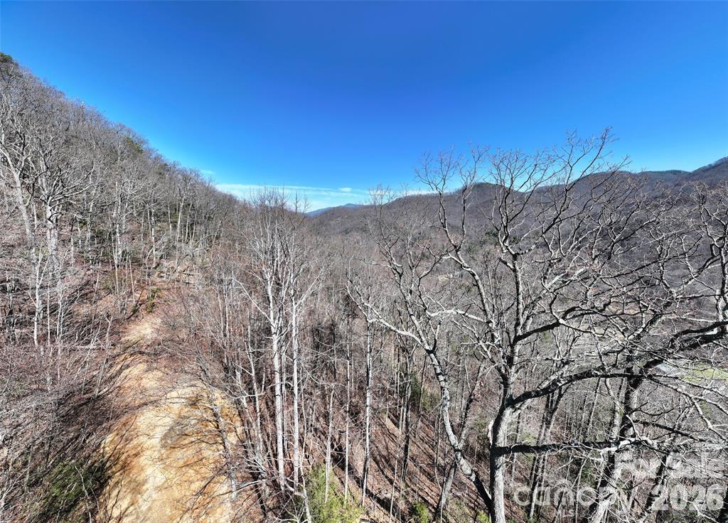 99999 Green Ridge Falls Road Barnardsville NC 28709