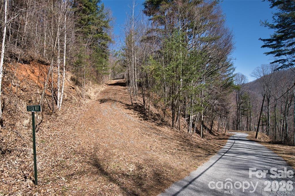 99999 Green Ridge Falls Road Barnardsville NC 28709