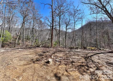 99999 Green Ridge Falls Road Barnardsville NC 28709