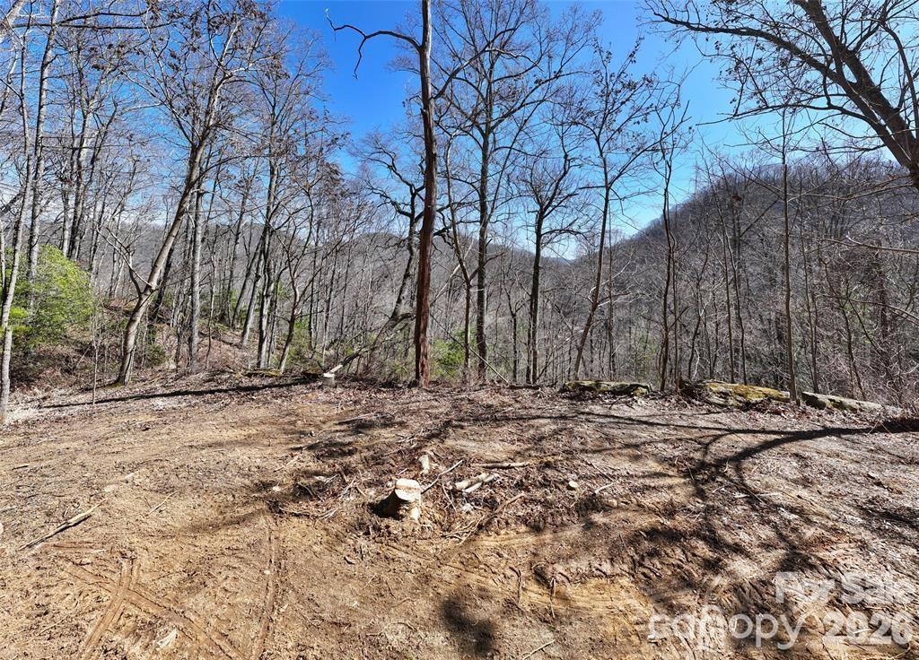 99999 Green Ridge Falls Road Barnardsville NC 28709