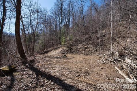 99999 Green Ridge Falls Road Barnardsville NC 28709